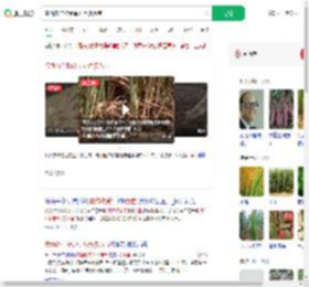 陕西农作物受旱五百多万亩_360搜索