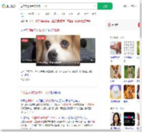 母亲立遗嘱给宠物狗十几万_360搜索