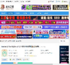 Nicat17下载 Nicat 17 for SQLite v17.2.7 中文企业免费版(附安装教程) 下载-脚本之家