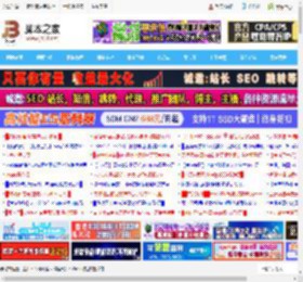 Cursor如何自定义大模型? Cursor编辑器模型设置指南_编程开发_软件教程_脚本之家