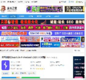 Burp Suite Pro免费下载 渗透测试软件Burp Suite Professional v2025.5.4 免费版 下载-脚本之家