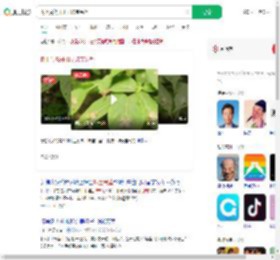 树上竟然开出了珠宝吊坠_360搜索