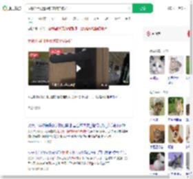 反锁公用门遭撬锁宠物猫被扔_360搜索