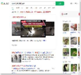 眼镜蛇进院被狗狗提醒_360搜索
