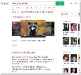 小浣熊出逃50多天后车祸受伤_360搜索