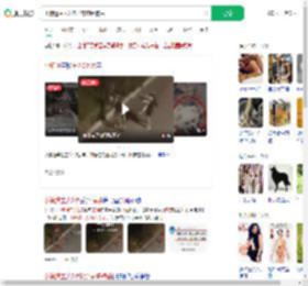 小狗遭主人2次扔弃哀嚎被丢_360搜索