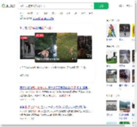 武汉一只狗练出神入化棍法_360搜索