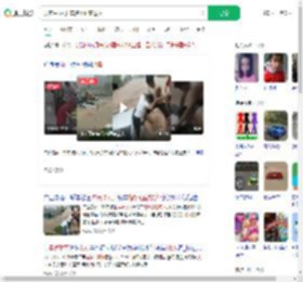 洪流中3人开车搭桥砸窗救人_360搜索