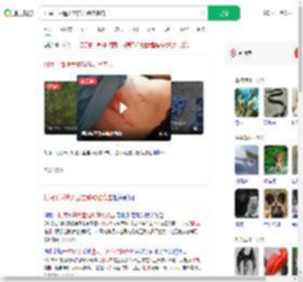 村民干活遭大型猫科动物袭击_360搜索