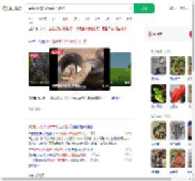 踩到打架的竹叶青和五步蛇_360搜索