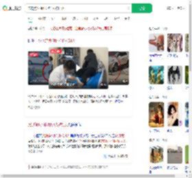 流浪狗1小时咬伤4人被打死_360搜索