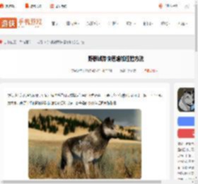 野狼谜踪怎么增加经验-野狼谜踪快速增加经验方法_游侠手游