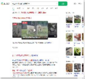 秦皇岛动物园遇猛虎惊魂实录_360搜索