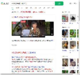 网红瑶族建哥被马蜂蜇伤身亡_360搜索