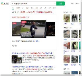 扬子鳄追击黑鱼被意外钓起_360搜索